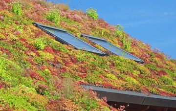 Sulhamstead Abbots living roof systems